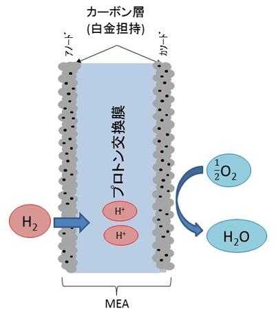 Fig. 8 Structure of MEA