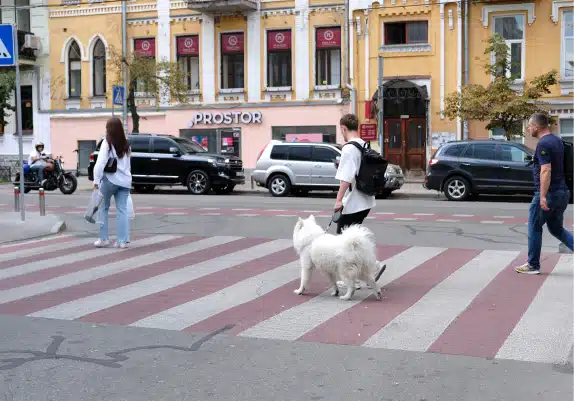 intelligent video analytics powered by hailo ai edge processors