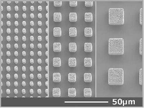 SEM images of bumps of various sizes with free shape design