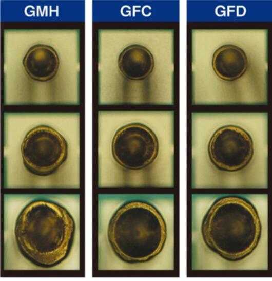 [Ball Shape 비교] GMH/GFC/GFD, FAB:38-61µm,SBD:45-75µm