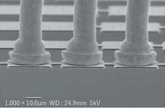 35µm BPP Bonding의 SEM 이미지